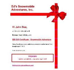 $95 Gift Voucher - DJ's Snowmobile Adventure